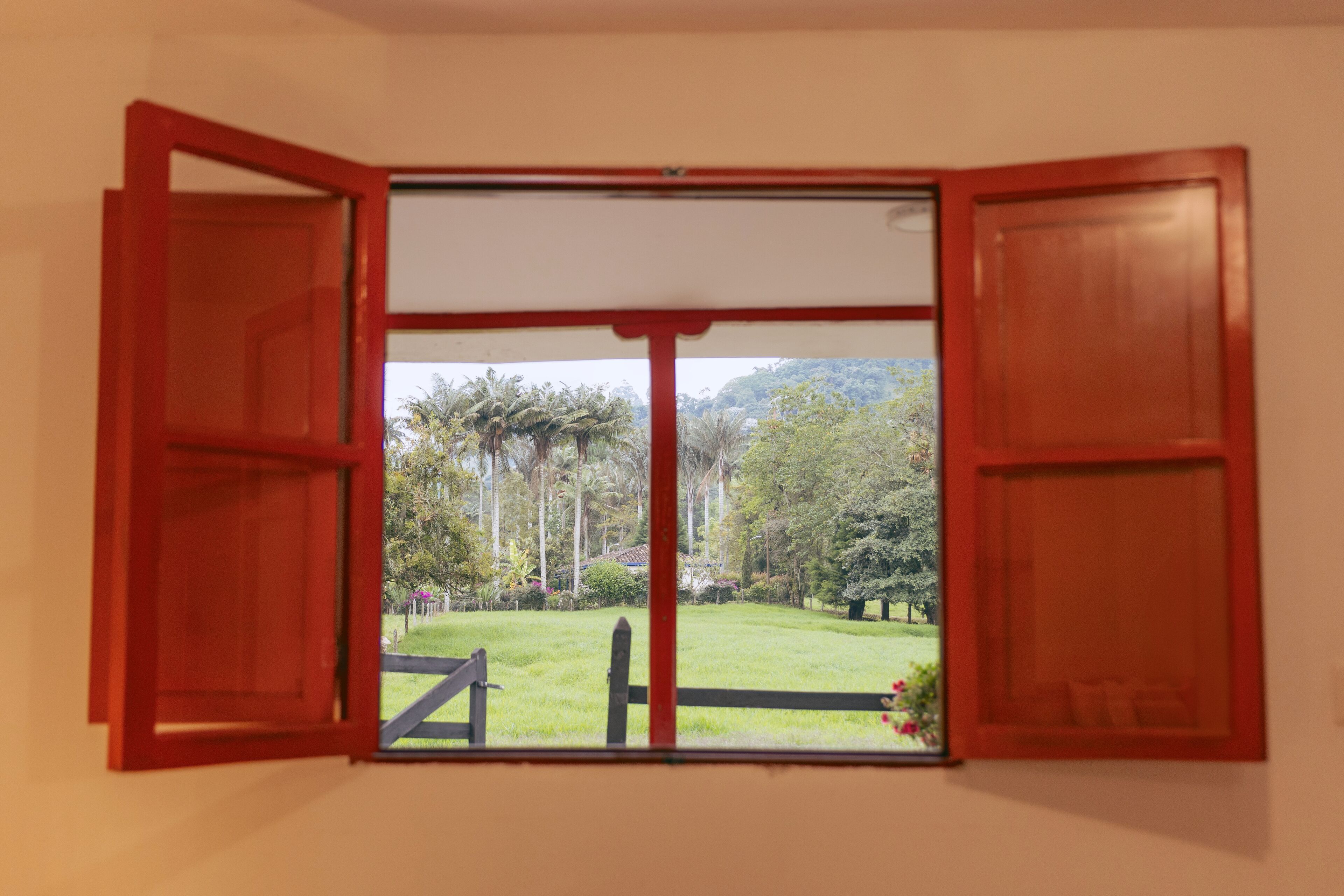 Una ventana con contraventanas abiertas, mostrando una zona verde con árboles y una valla.