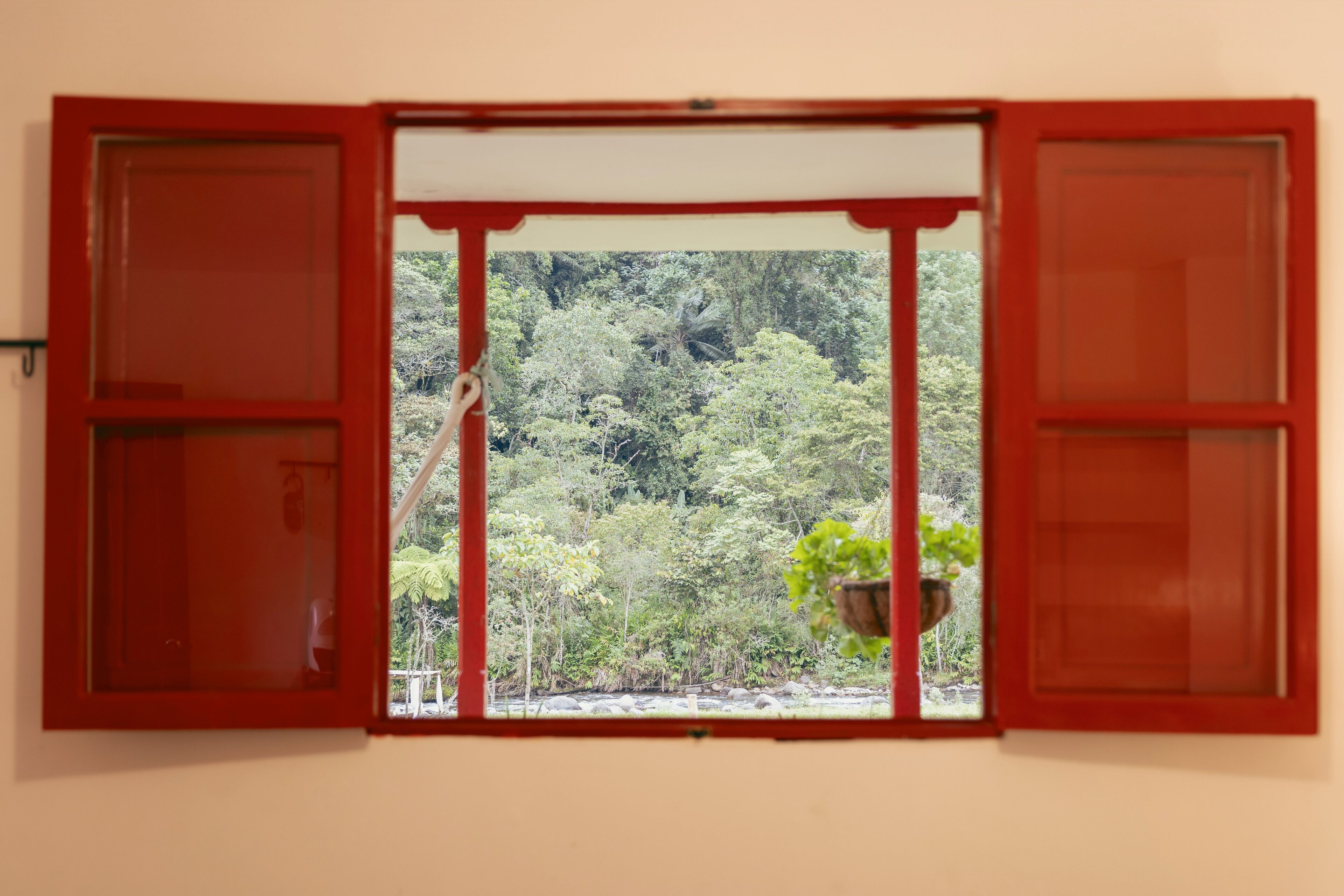 A window with red shutters, a view of a forested area, and a hanging plant.