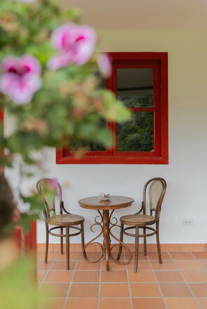 Superior Room | Terrace/patio