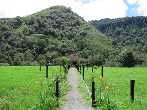 A rural house with a dirt path leading to it, surrounded by lush green fields and a forested hill. - Eco Hotel La Cabaña (Salento)