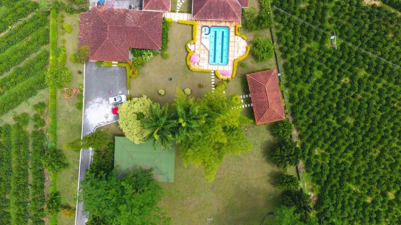 Ett flygbildsbild av en fastighet med en swimmingpool, flera byggnader med röda tak och omgivande gröna fält.