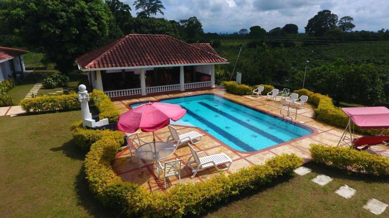 A rectangular swimming pool with a tiled roof pavilion, surrounded by neatly trimmed hedges and lounge chairs.