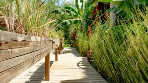 Garden - Solost Hotel Eco Boutique (Tola)