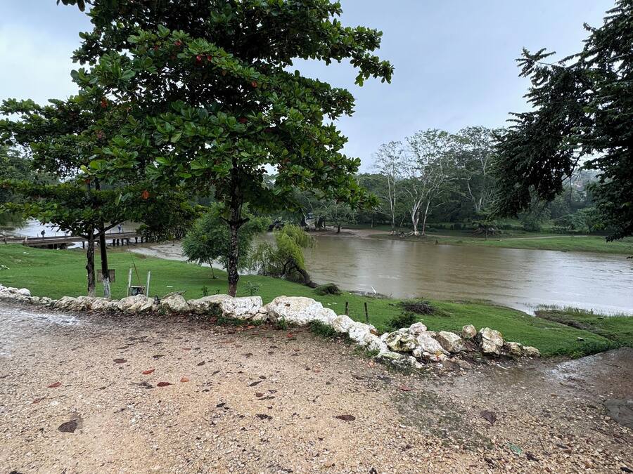A gravel path leading to a body of water, surrounded by trees and a grassy area.