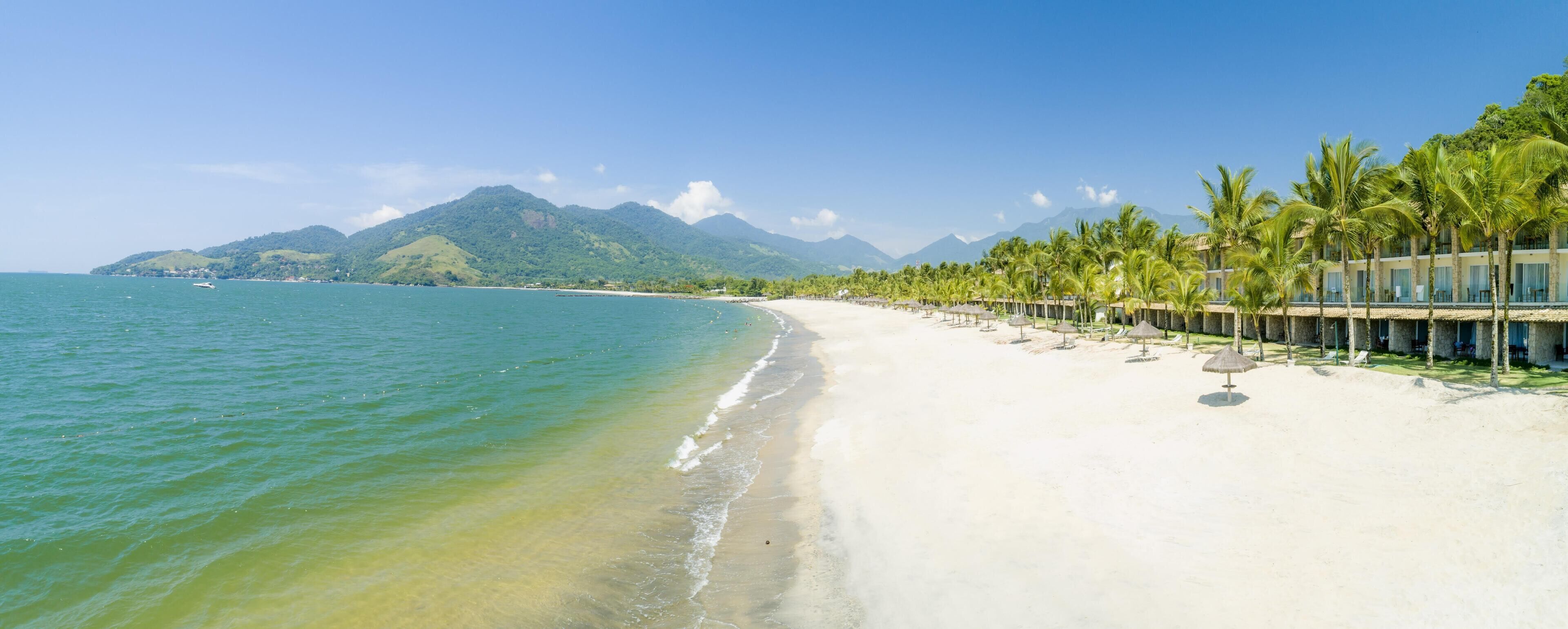 Una playa con una hilera de palmeras y un edificio con vista al mar.