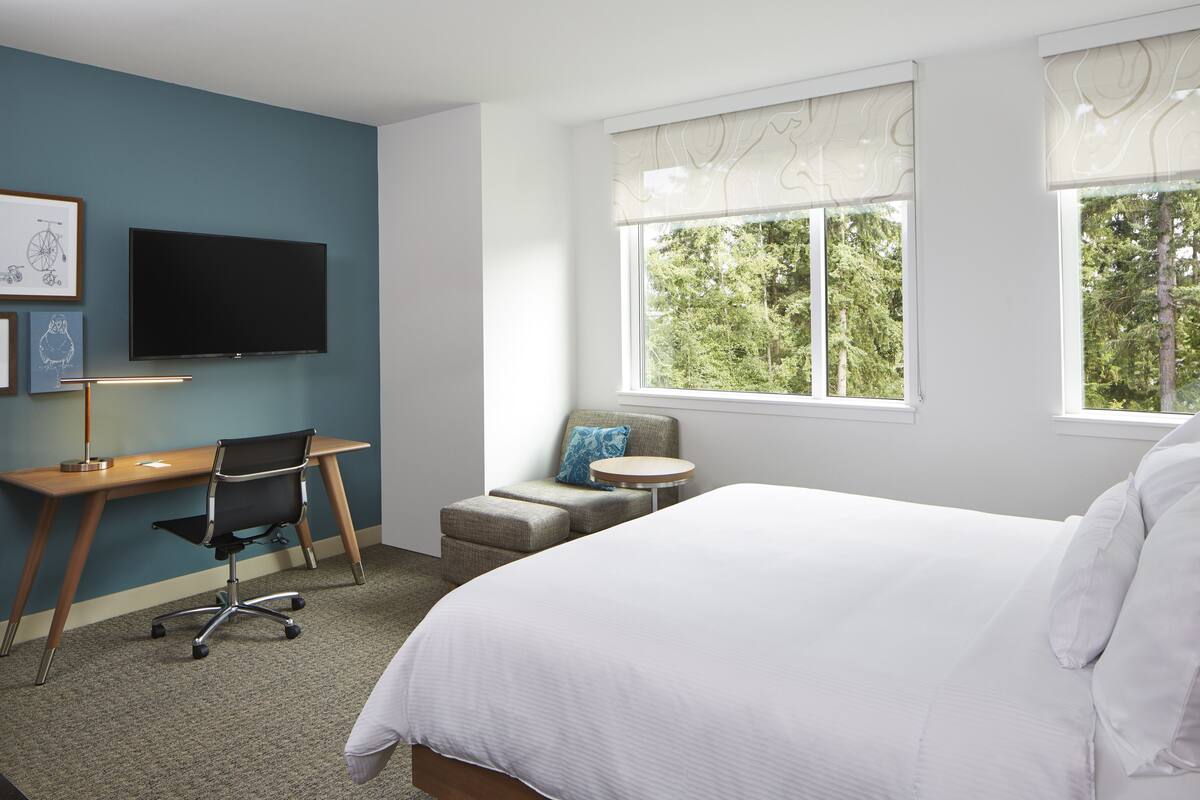 Habitación de hotel con cama, escritorio, silla, televisor y ventana con vista a árboles.
