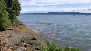 Ein Strand mit felsigem Ufer, Palmen und ruhigem Wasser.