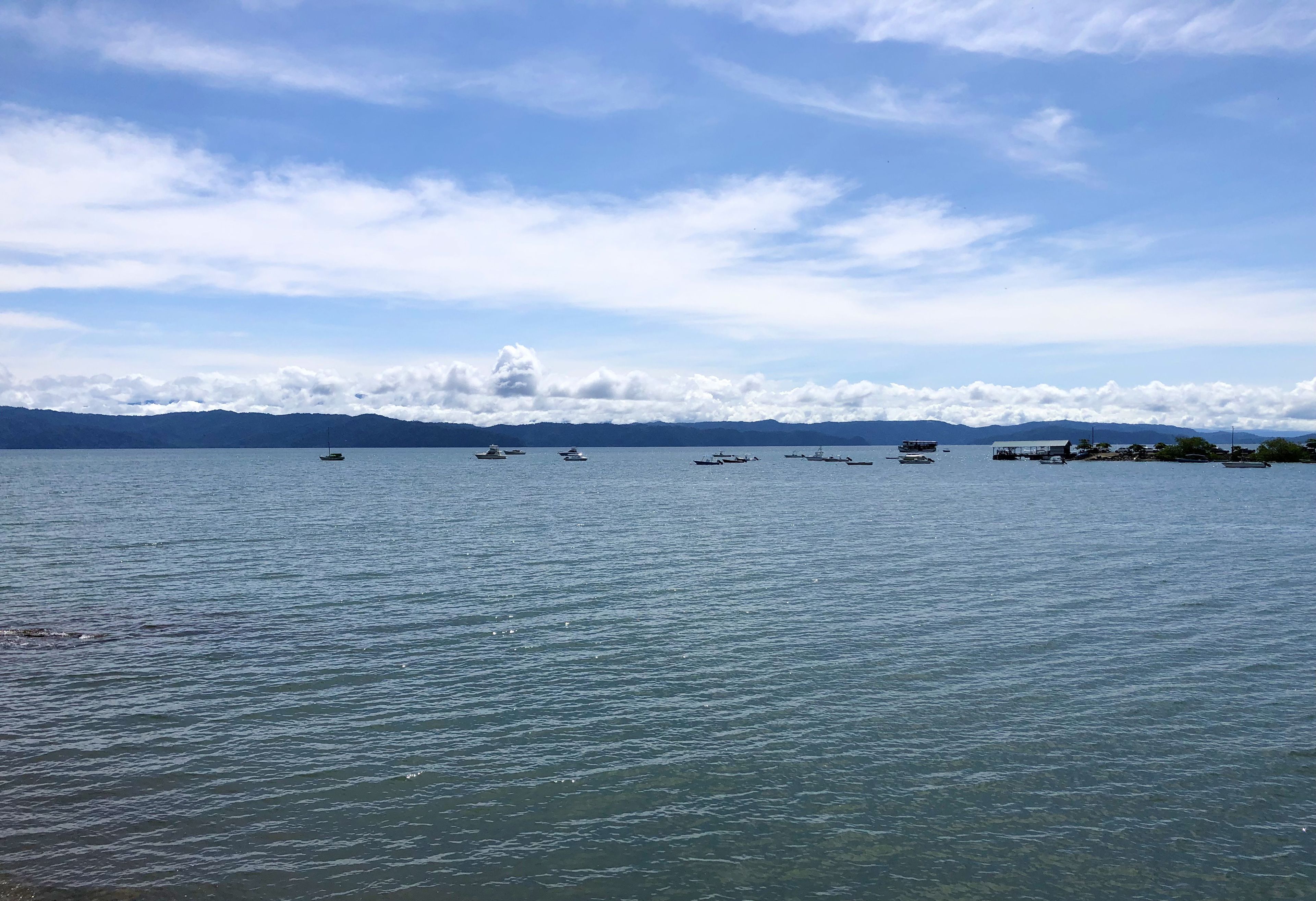 A calm lake with several boats, distant mountains, and a clear sky.