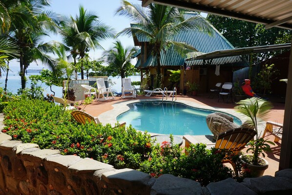 Outdoor pool - Cabinas Jimenez (Puerto Jiménez)