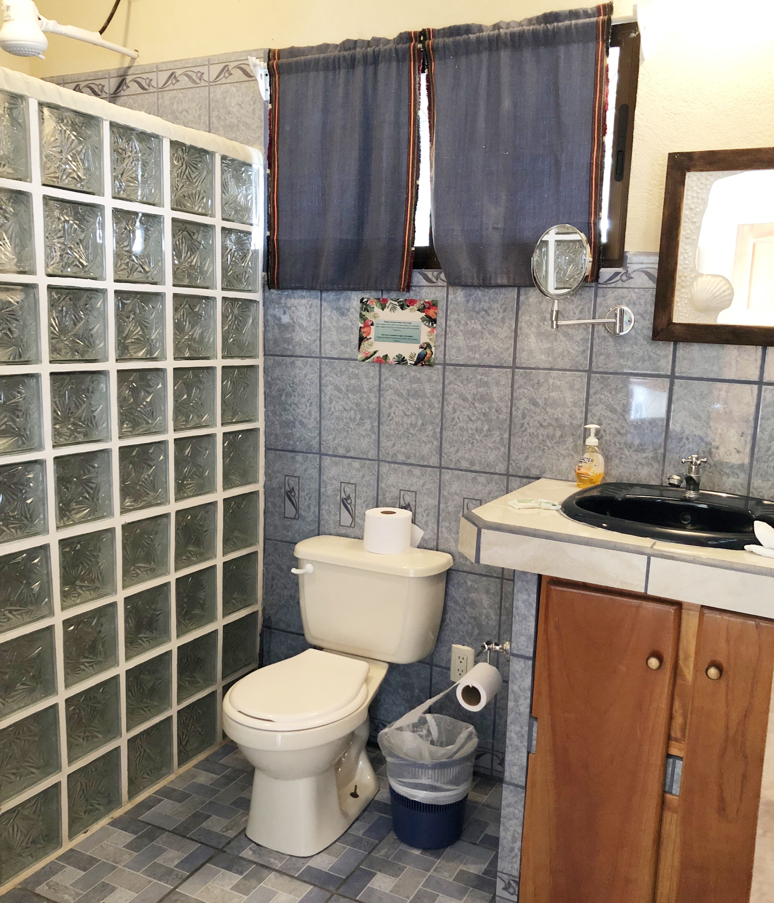 A bathroom with a toilet, a sink, a mirror, and a shower area with frosted glass panels.