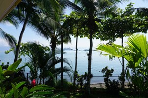 Vista desde la propiedad