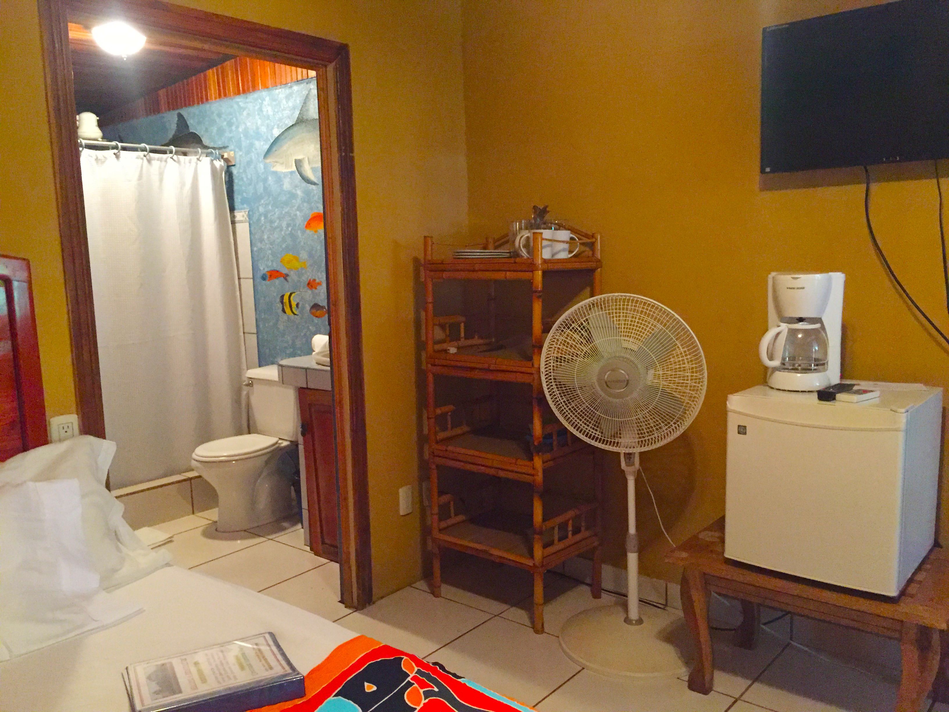 A small hotel room with a shower curtain, a toilet, a fan, a coffee maker, and a TV mounted on the wall.