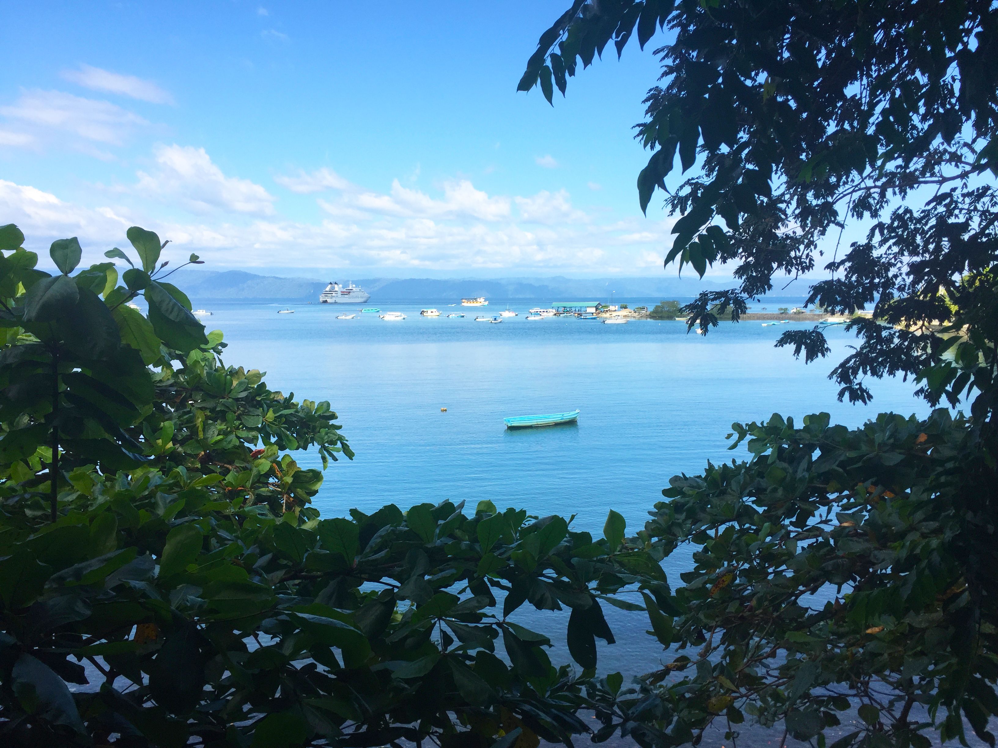 Une vue sur une mer calme, avec un navire de croisière et plusieurs bateaux.