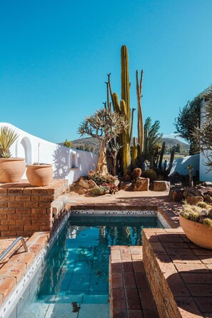 Une piscine entourée de cactus et de plantes désertiques, avec un mur blanc et une montagne en arrière-plan.