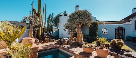 Seasonal outdoor pool, pool loungers