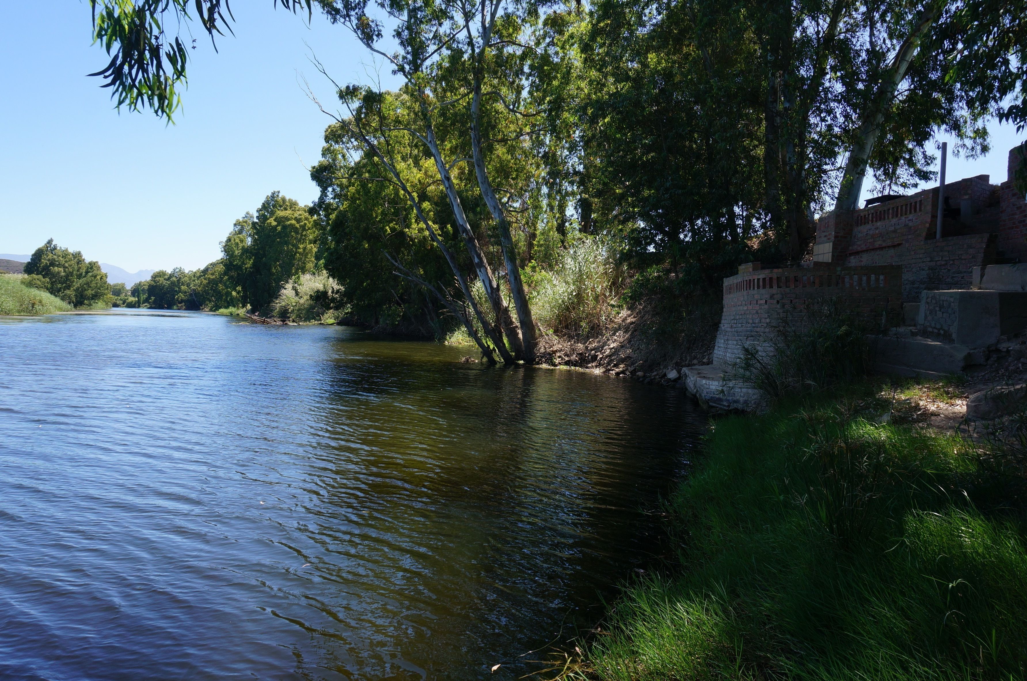 A river with a stone wall and trees on one side.