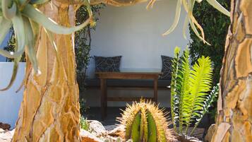 Een cactustuin met verschillende cactussen en een houten bankje.