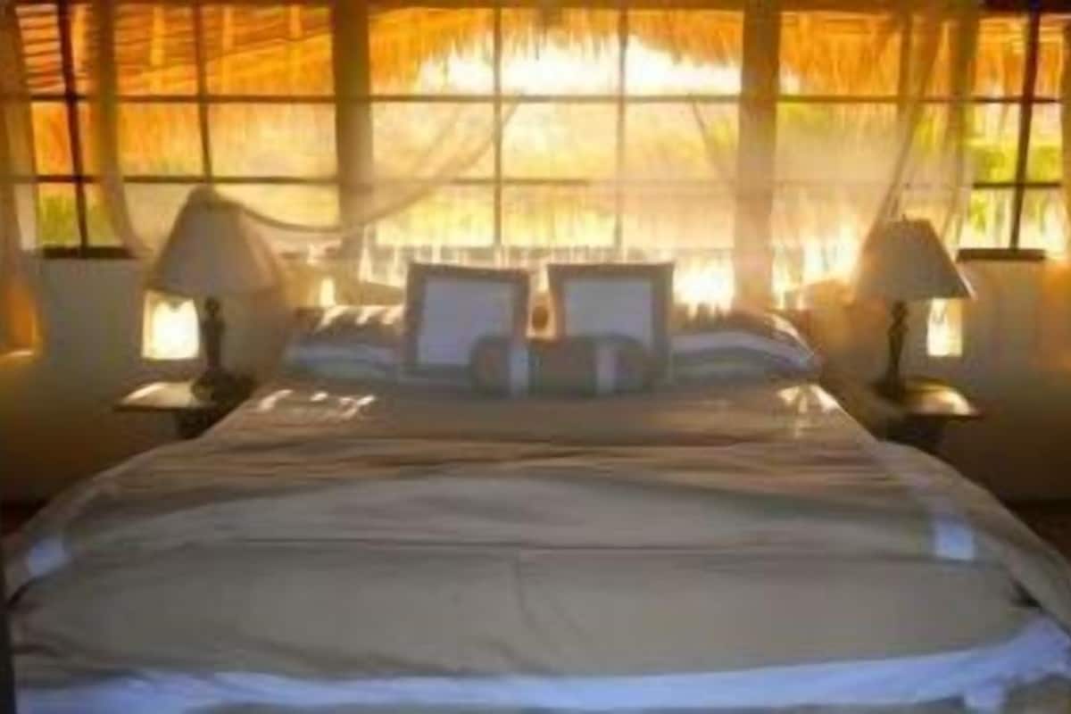 Una cama con edredón blanco y almohadas, dos lámparas de noche y un ventanal con cortinas.