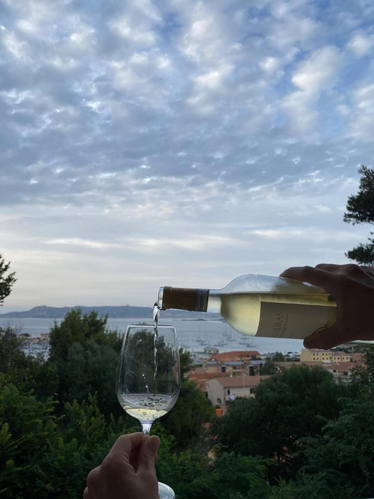 A person pouring white wine into a glass, with a scenic view of a body of water and buildings in the background.