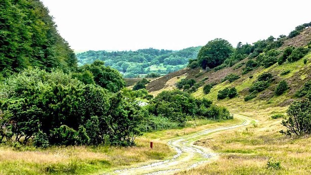 Een landelijk landschap met een kronkelende onverharde weg, omringd door weelderige begroeiing en heuvels.
