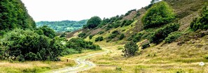 A rural landscape with a winding dirt road surrounded by lush greenery and hills. - Danhostel Rebild (Skorping)