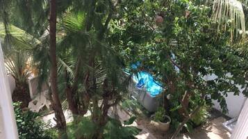 Seasonal outdoor pool, pool umbrellas, sun loungers