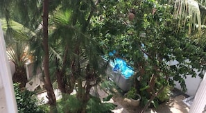 Seasonal outdoor pool, pool umbrellas, pool loungers