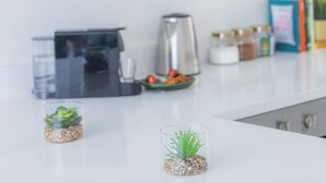 A kitchen with hanging plants, a coffee maker, and a small potted plant on the counter.