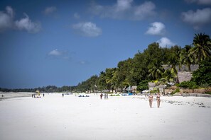 A beach with a clear sky, palm trees, and a few people walking. - KiteActive Guesthouse (Paje)