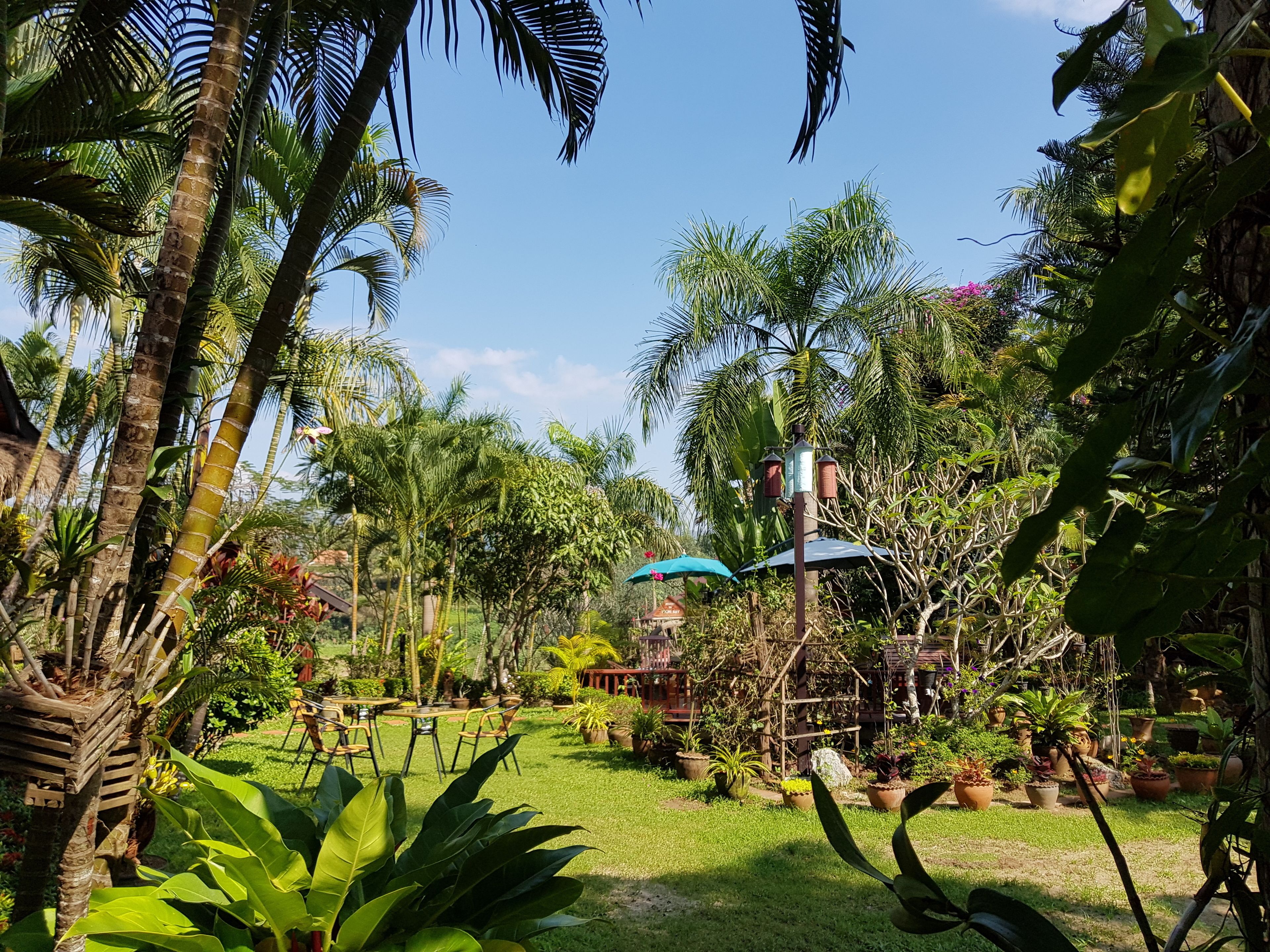 Jardin