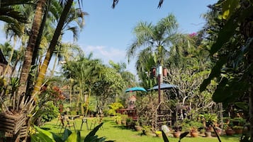 Jardin