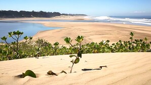 A beach with sand dunes, a clear sky, and a calm sea. - Ngoye Lodge (eMthunzini)