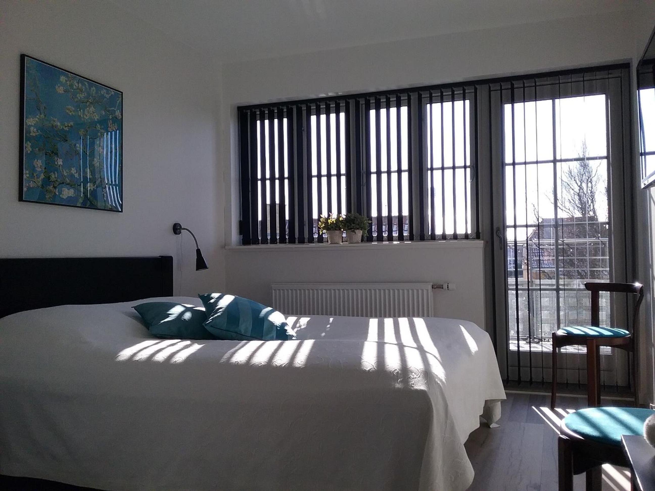 hypo-allergenic bedding, individually decorated, individually furnished