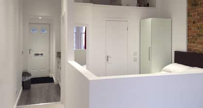 Central Windsor Apartments