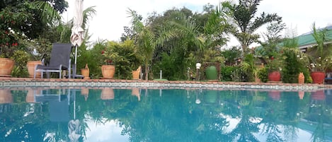 A swimming pool with a tiled edge, surrounded by potted plants and a chair.