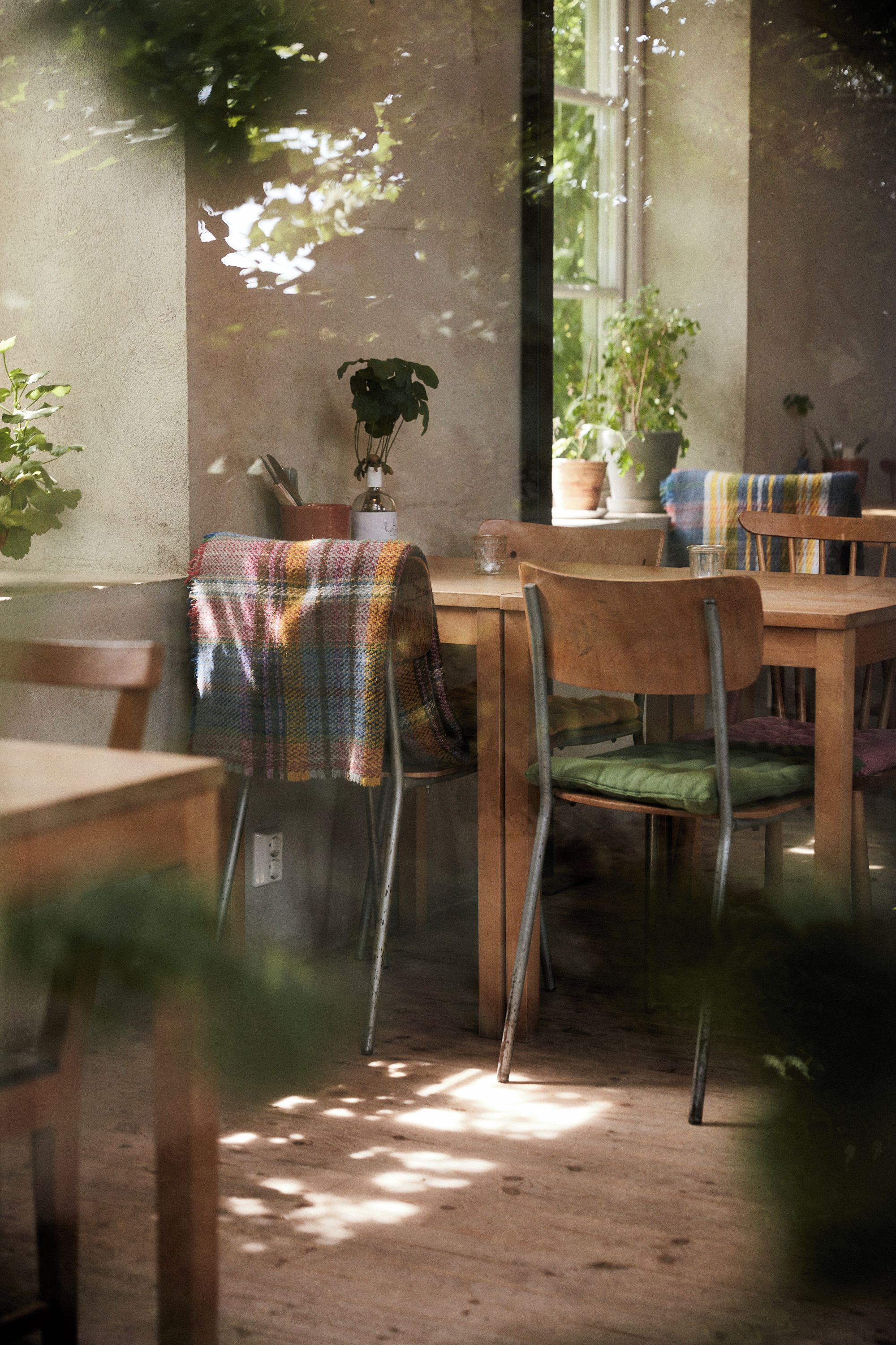 A dining area with wooden tables and chairs, a potted plant, and a window with natural light.