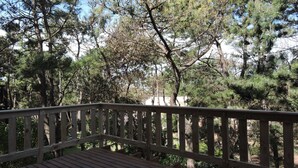 A wooden deck with a railing overlooking a forested area with pine trees. - Merlión (Mar de Las Pampas)