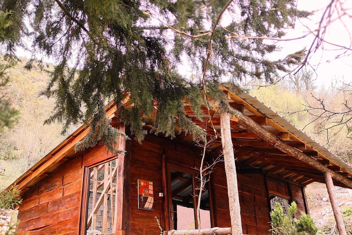 A rustic cabin with a wooden exterior, a porch, and a large tree in front.