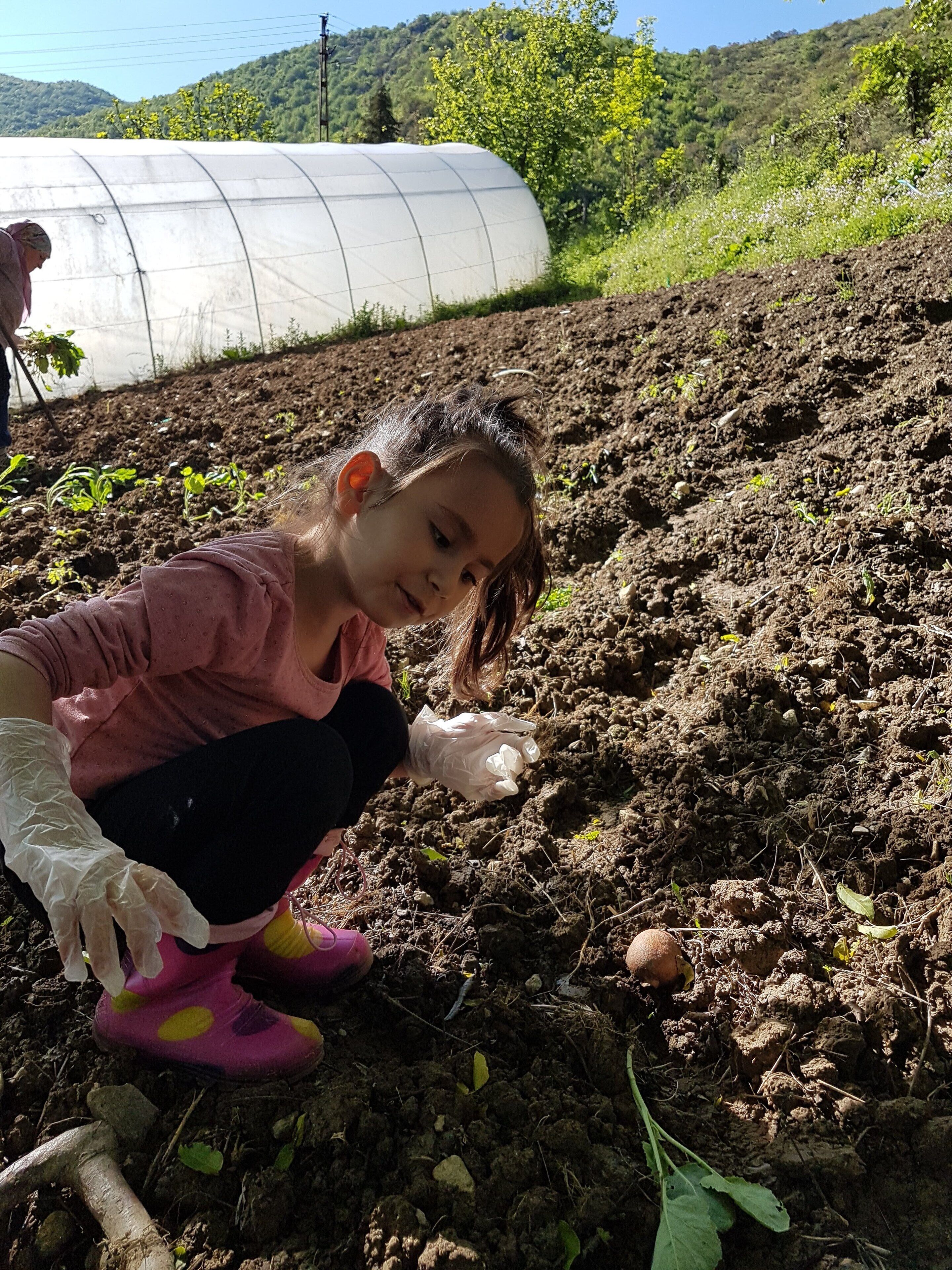 A person crouching on a dirt surface with a greenhouse in the background.