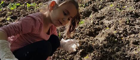 A person crouching on a dirt surface with a greenhouse in the background.
