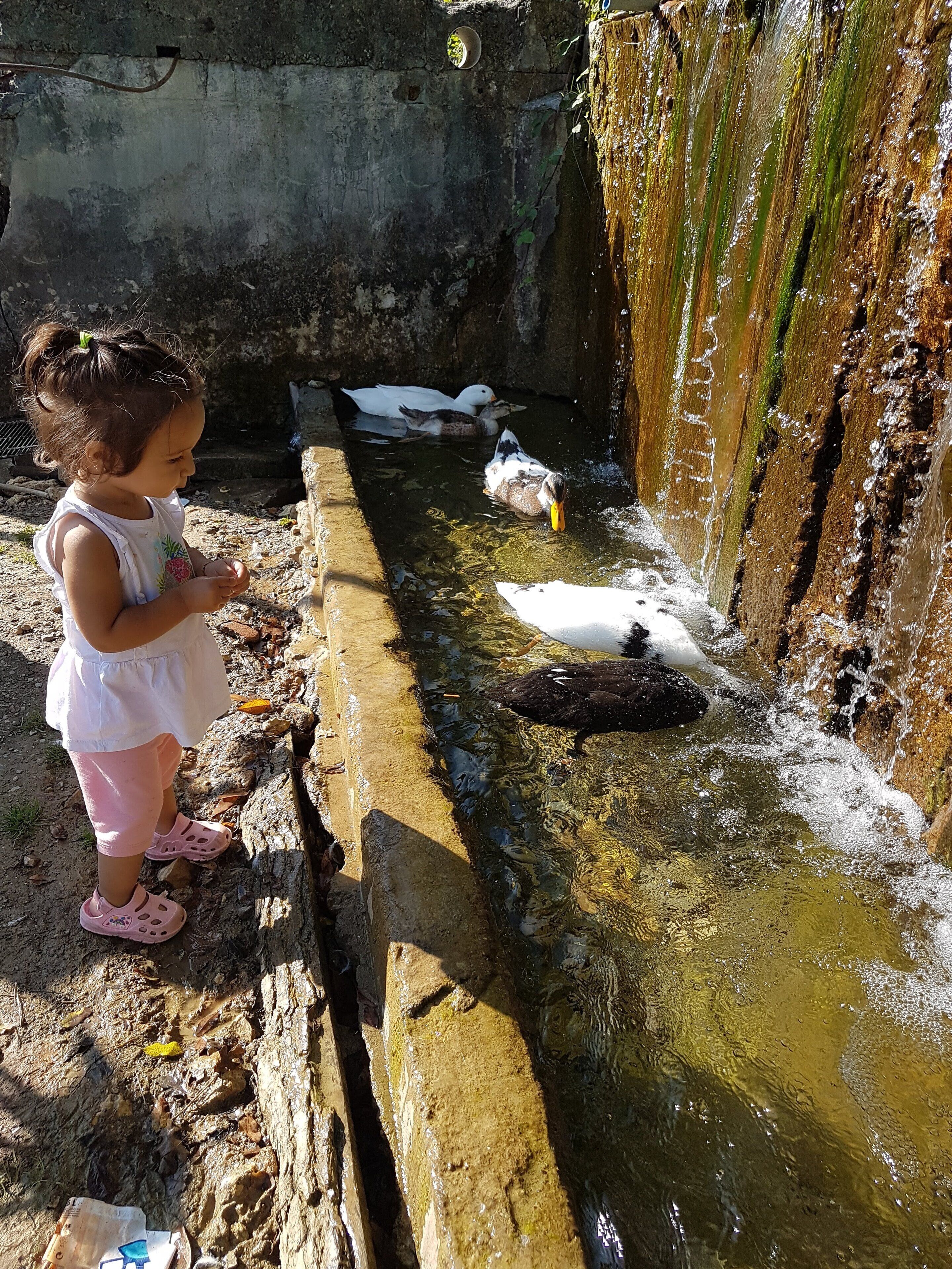 children’s activities