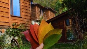 A wooden cabin with multiple windows and a stone foundation. - Kure Dag Evi (Ulus)