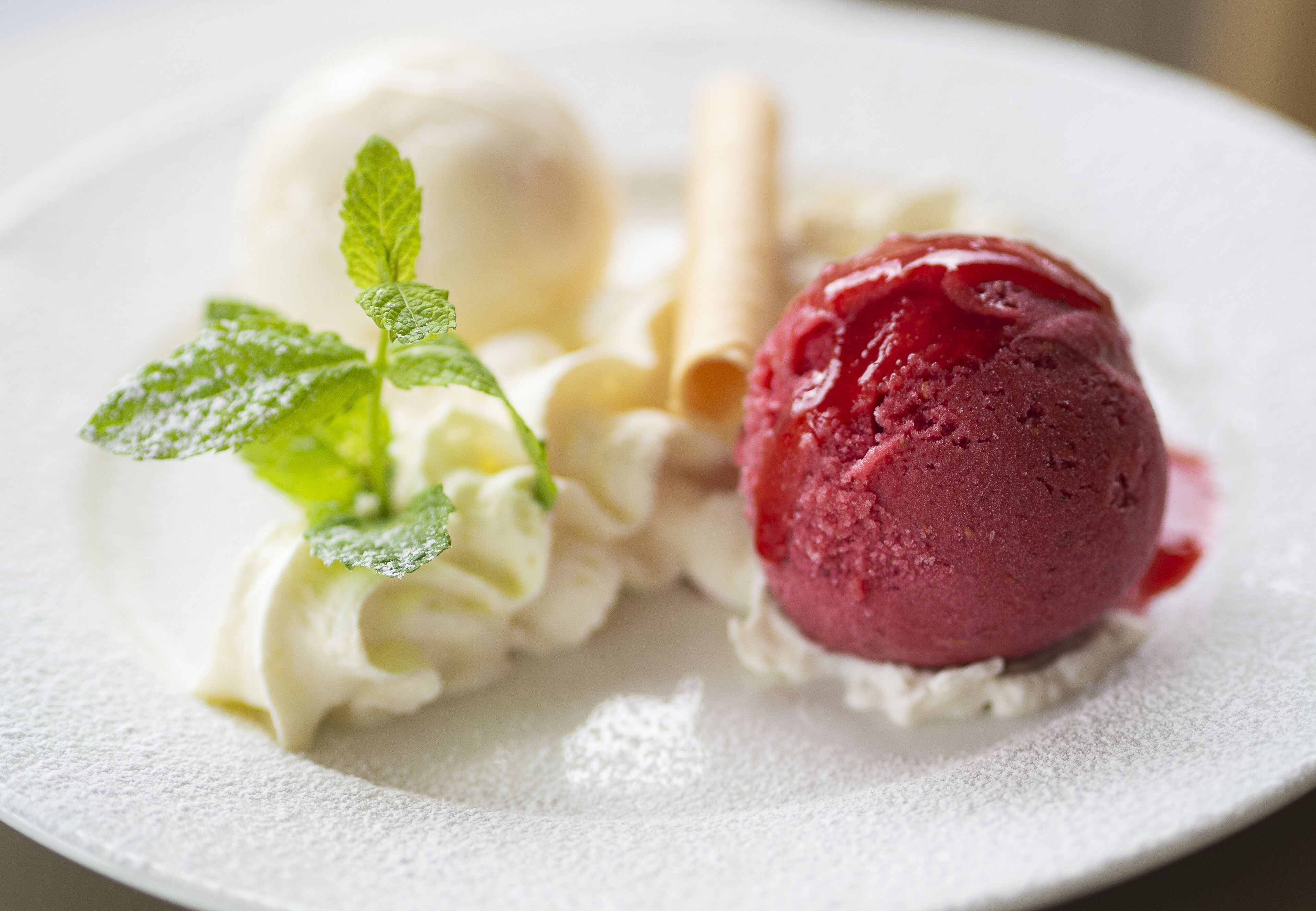 A dessert plate with two scoops of ice cream, one red and one white, accompanied by a mint leaf and a wafer.