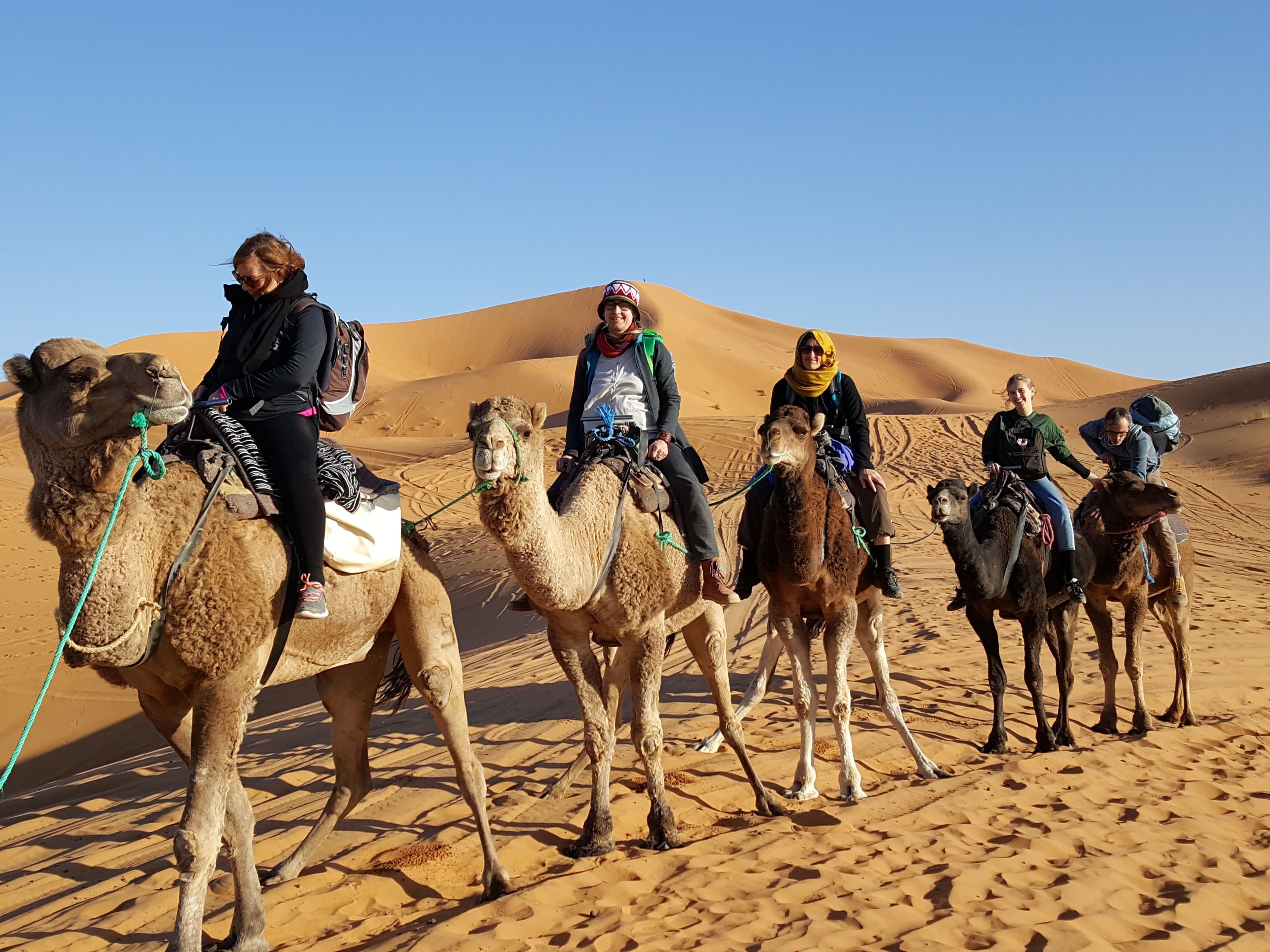 A group of people riding camels in a desert.