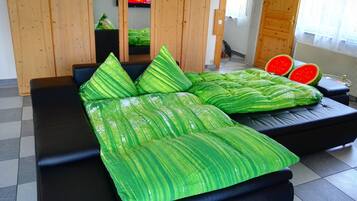 127-cm flat-screen TV with satellite channels, TV, computer