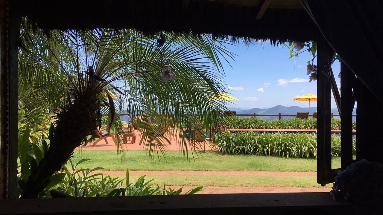 A view from a covered area with a palm tree, a chair, and a table under a thatched roof.