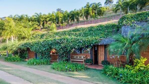 A rustic building with a thatched roof, surrounded by lush greenery and a paved path leading to it.