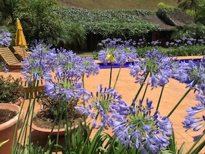 Jardim