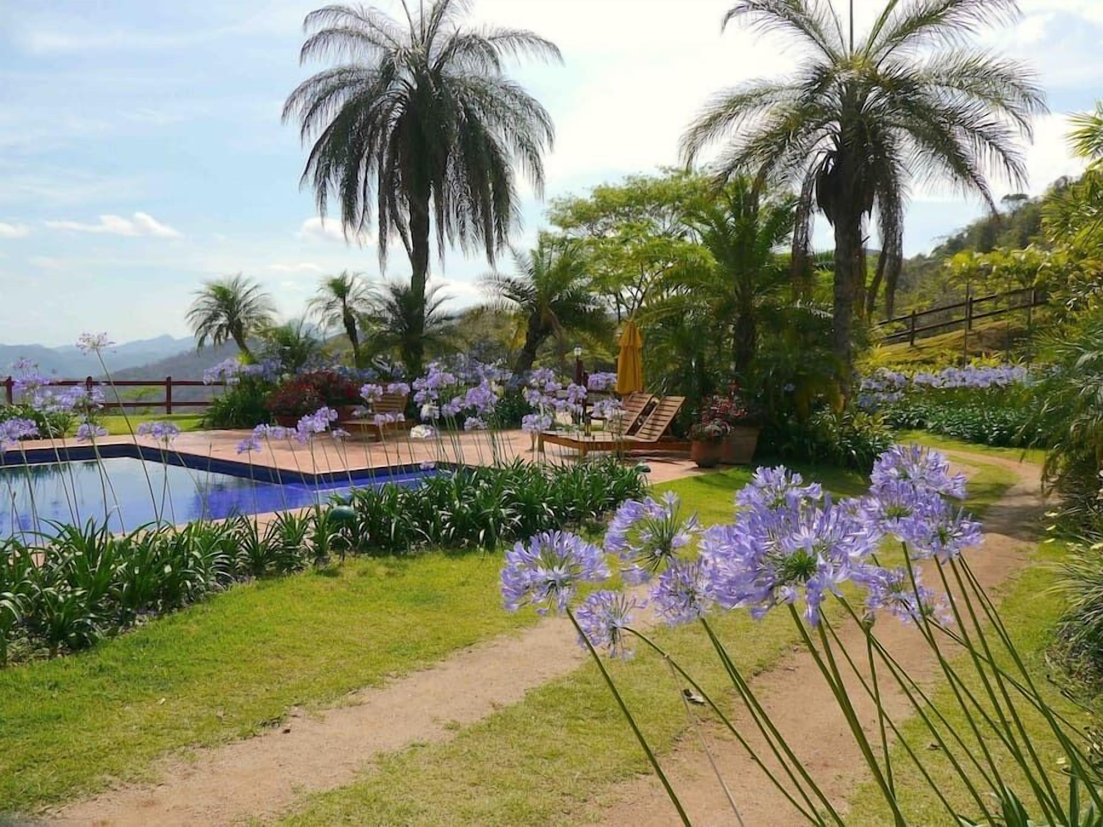 Zona de piscina con vistas despejadas al jardín circundante, con palmeras y flores moradas.