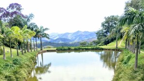 A serene landscape with a pond, surrounded by lush greenery and palm trees, leading to distant mountains.